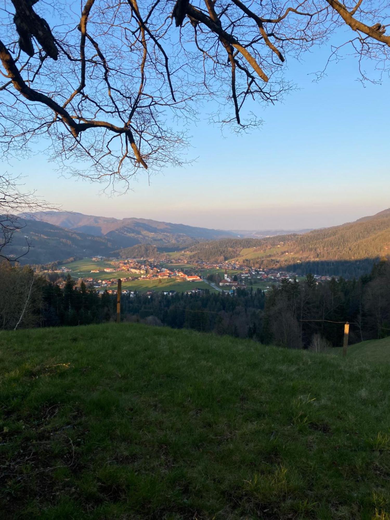 Apartma Ella Lovrenc na Pohorju Buitenkant foto